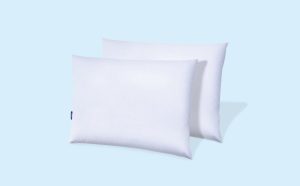 Down Pillow Double Pack